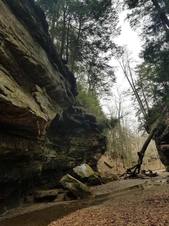 An image of the natural gorge in Turkey Run state park in the midwest.