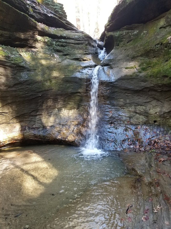 A natural waterfall in turkey run state park.